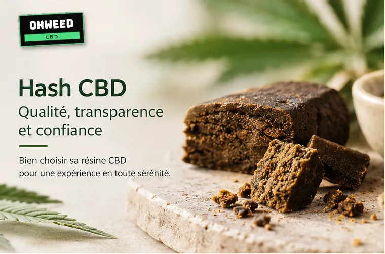 Bloc de hash CBD émietté posé sur une pierre claire, à côté d'une feuille de chanvre