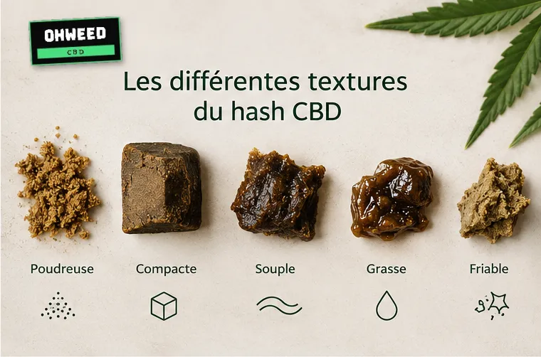 Les différentes textures du hash CBD : poudreuse, compacte, souple, grasse et friable